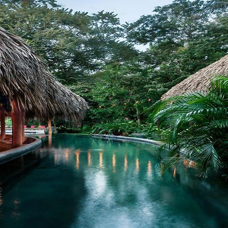The Space Jungle Oasis San Juan del Sur Exterior foto